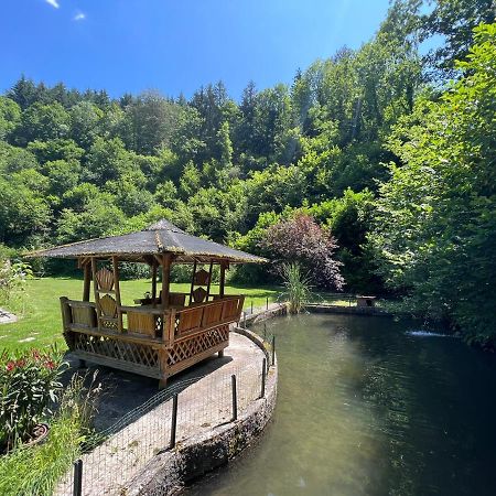 Апартаменти Le Clapot- Les Iris Сент-Етьєн Екстер'єр фото